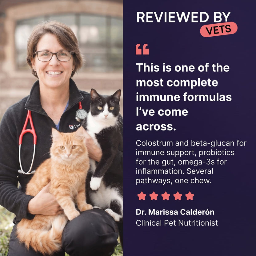 PrimalPurr™ Immune & Eye Support Chews