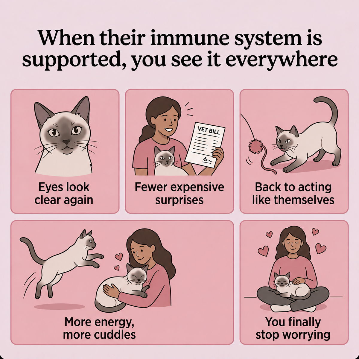 PrimalPurr™ Immune & Eye Support Chews