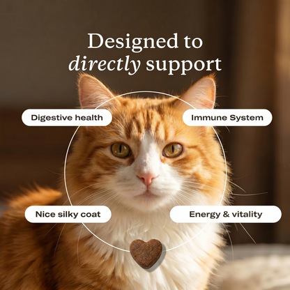 PrimalPurr™ Immune & Eye Support Chews